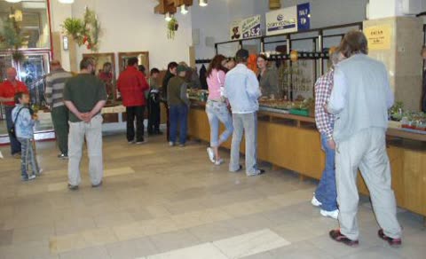 Fotografie z výstavy 2006