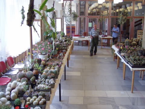 Fotografie z výstavy 2008