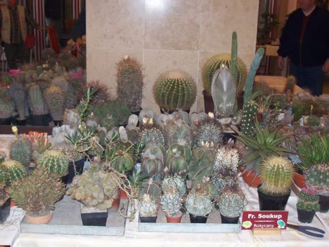 Fotografie z výstavy 2009