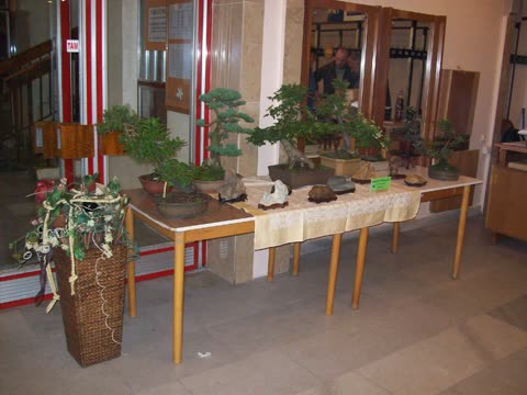 Fotografie z výstavy 2009