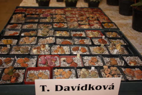 Fotografie z výstavy 2011