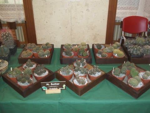 výstavu RO 2013