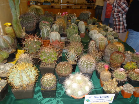 Výstava 2014