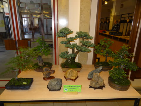 Výstava 2014