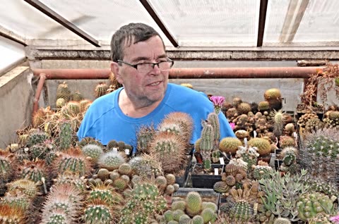 Dvůr Králové 2015