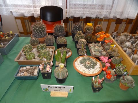 Výstava 2016