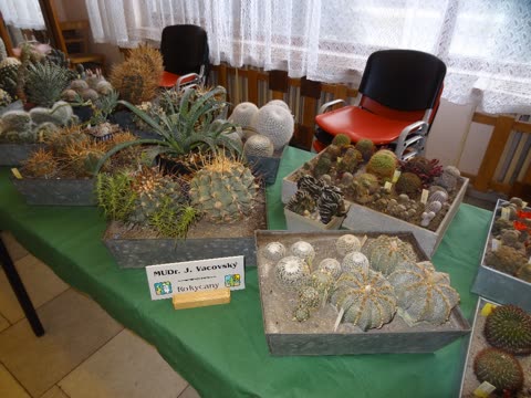 Výstava 2016