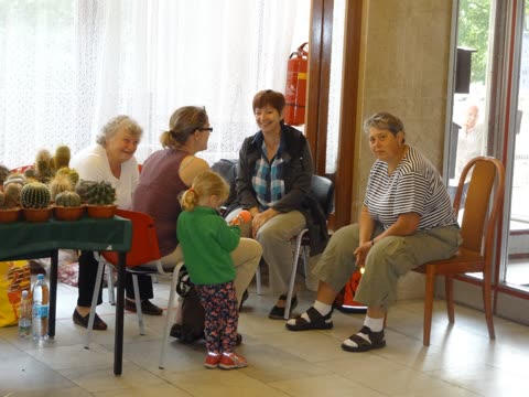 Výstava 2016