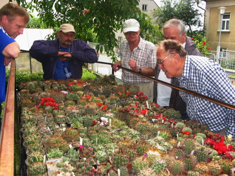 MUDr. Jiří Vacovský 80tiny